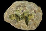 Yellow Crystal Filled Septarian Geode - Utah #98390-1